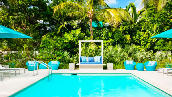 Tropical backyard oasis with a bright blue swimming pool, teal lounge chairs, umbrellas, and lush palm greenery.